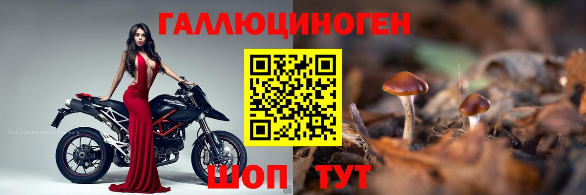 Галлюциногенные грибы MAGIC MUSHROOMS  купить наркотик  Выкса  Вход с VPN 